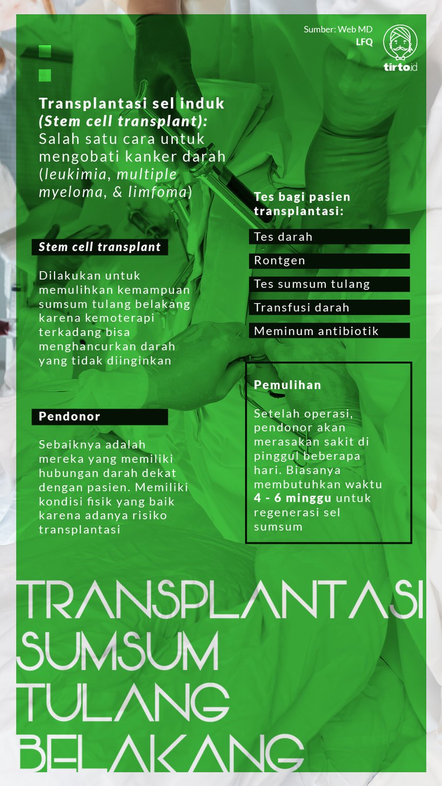 Infografik Transplantasi sumsum tulang Belakang
