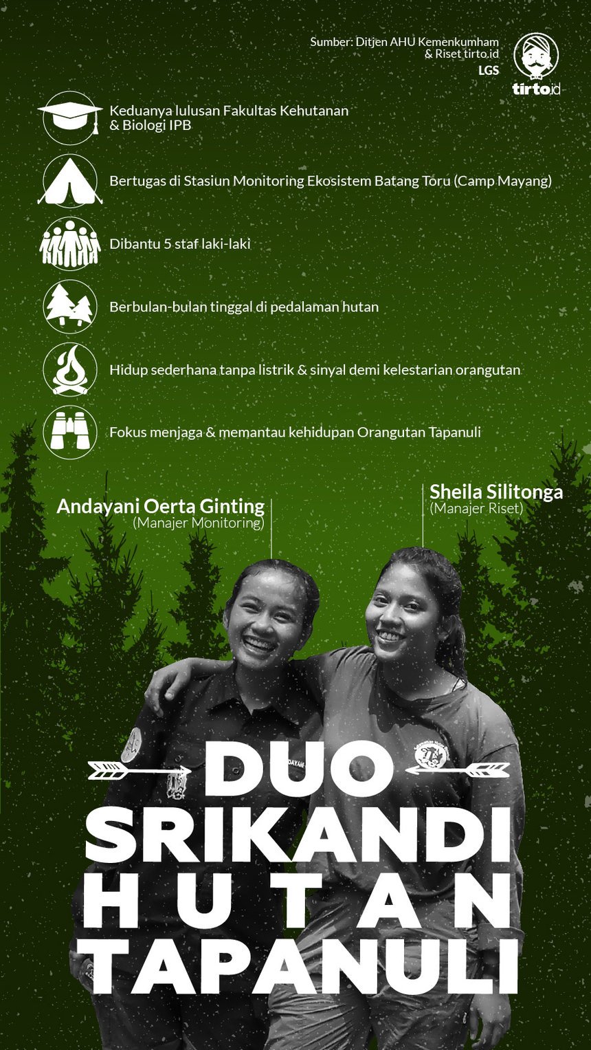 Infografik HL Indepth PLTA Batang Toru