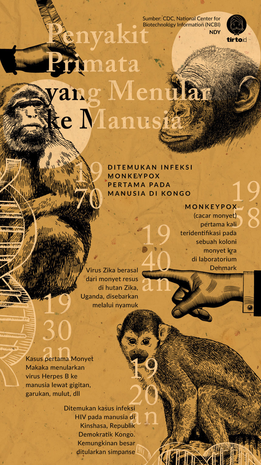 Infografik Penyakit Primata yang menular ke manusia
