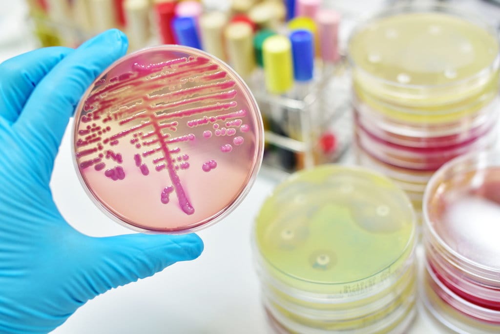 Biologi Sintetis Dan Masa Depan Kehidupan Buatan Tirto Id Biologi Sintetis Dan Masa Depan Kehidupan Buatan Tirto Id