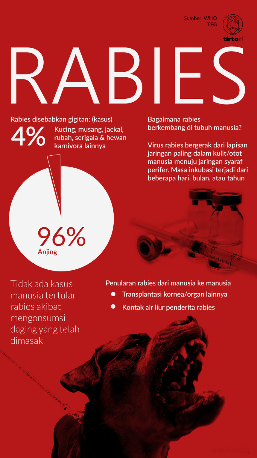 Infografik Rabies