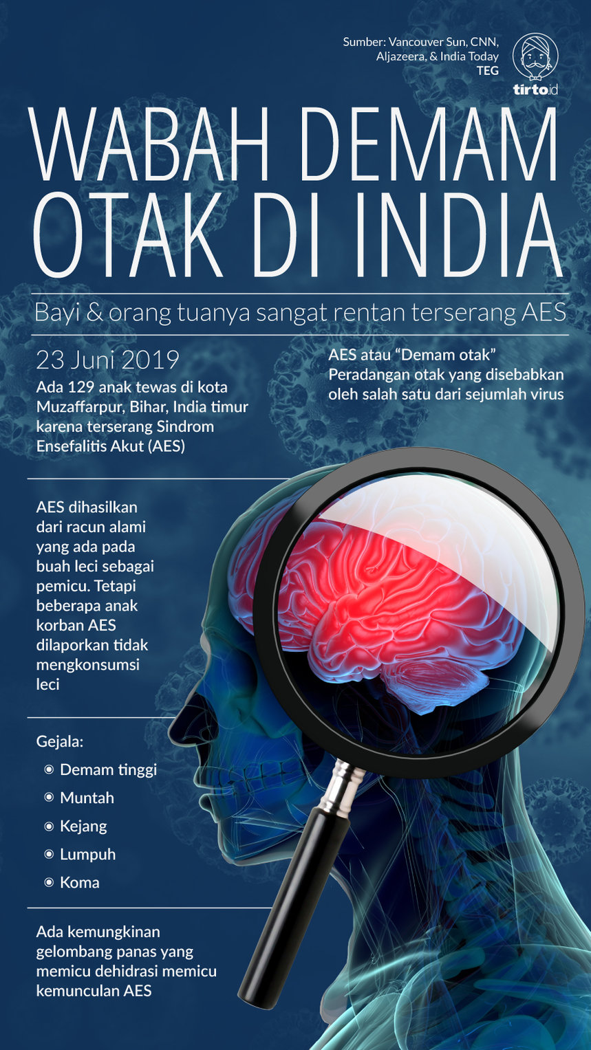 Infografik Wabah Demam Otak di India