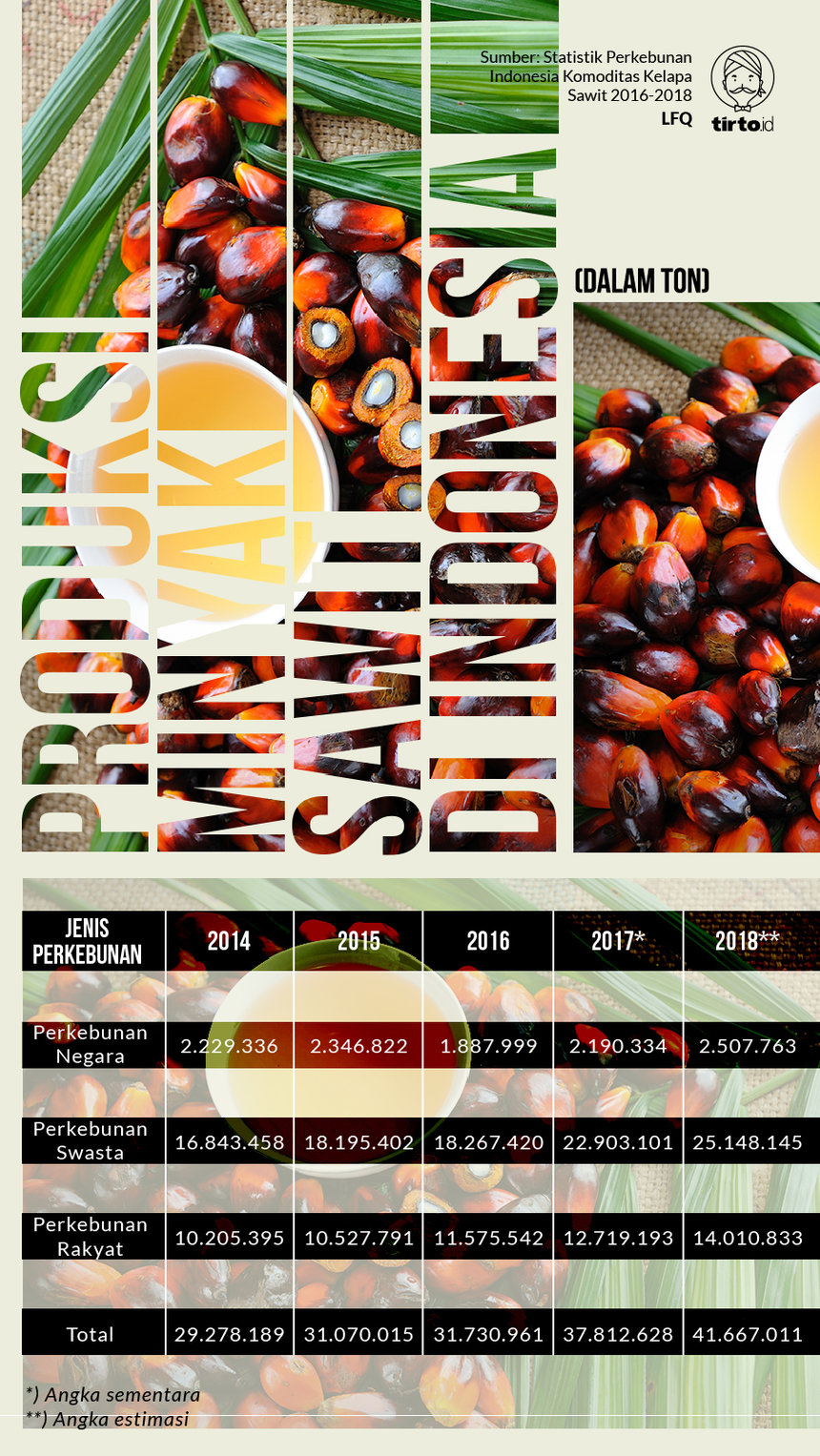Infografik Produksi Minyak Sawit di Indonesia