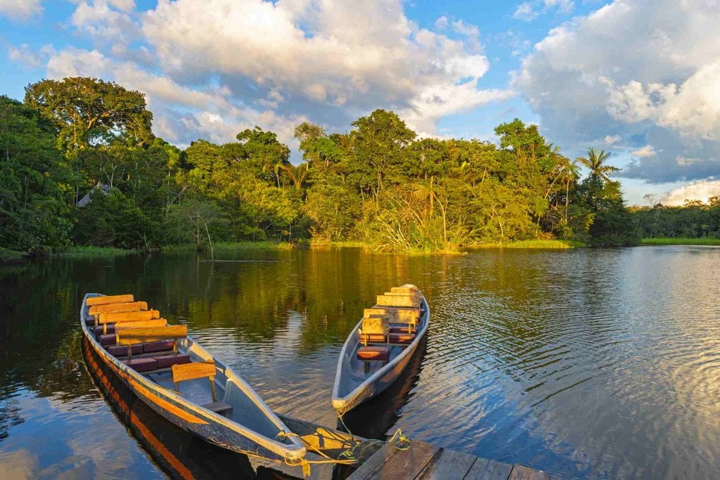 Hutan Amazon