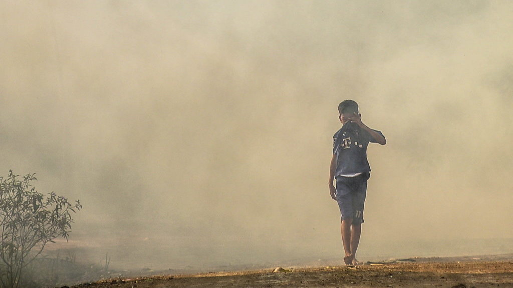 Penanganan Karhutla Dan Cerita Warga Saat Kabut Asap Merajalela Tirto Id