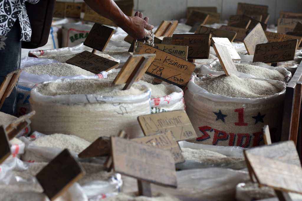 Petani Terpuruk Dan Harga Gabah Turun Kok Impor Beras Tirto Id