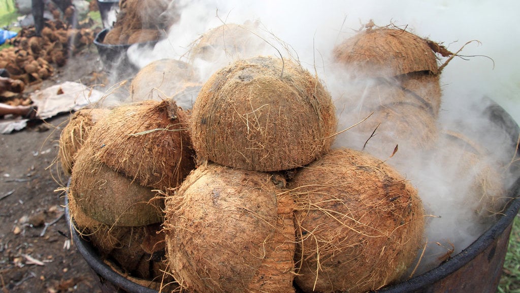 Tempurung kelapa termasuk contoh jenis limbah keras