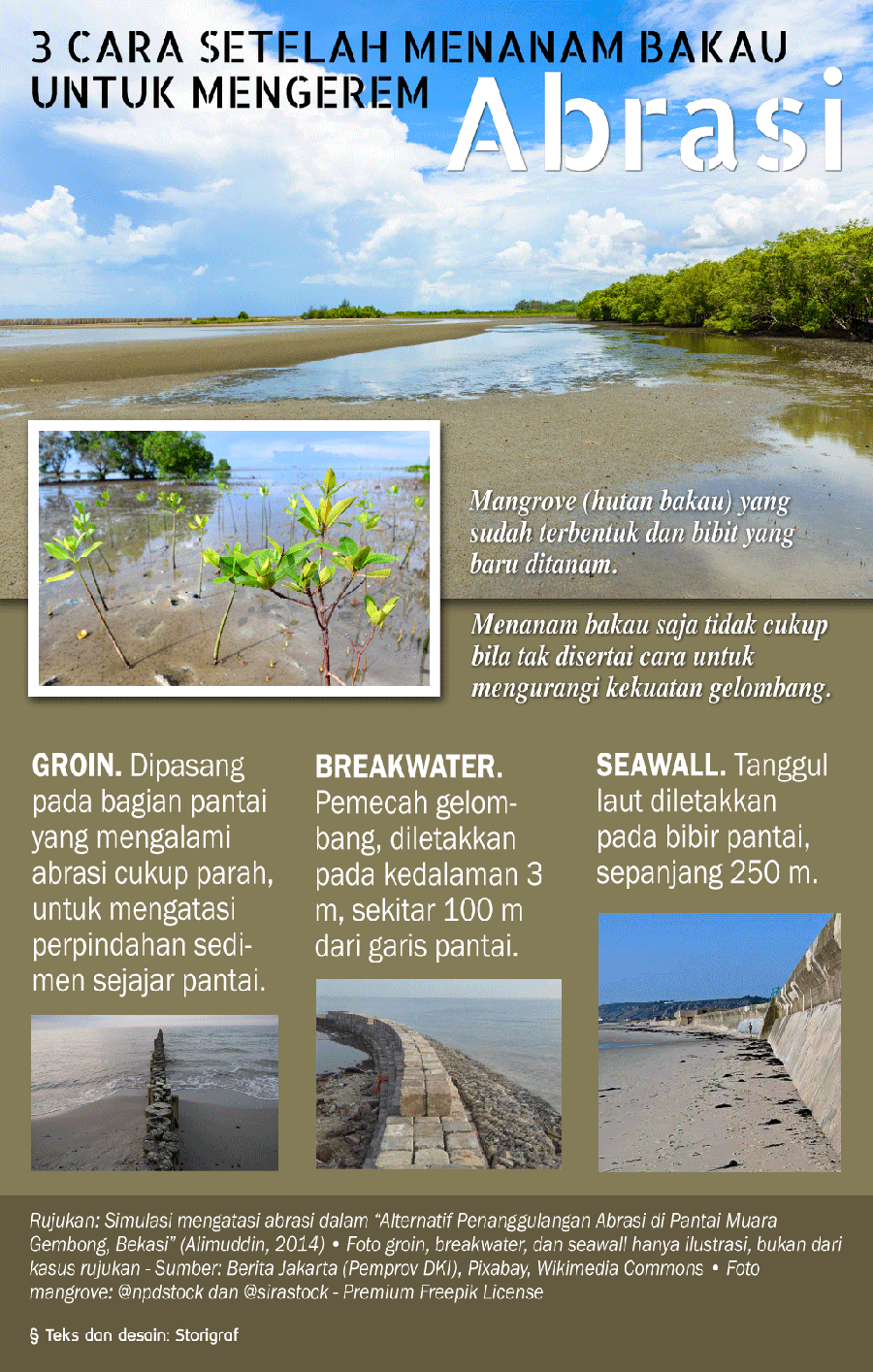 Manfaat pohon bakau di tepi pantai