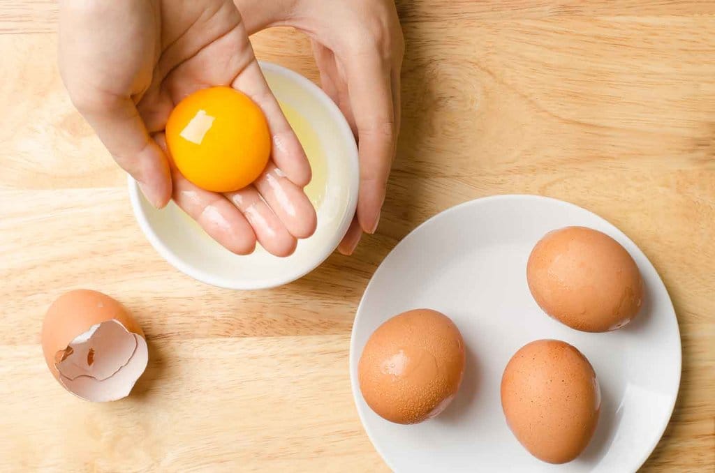 Ilustrasi Kuning Telur