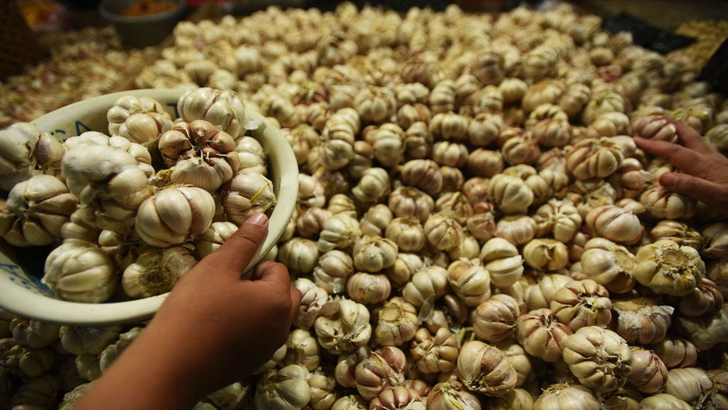 HARGA BAWANG PUTIH NAIK