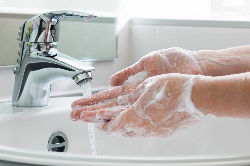 Rekomendasi WHO Soal Cegah Hantavirus: Apa yang Harus Dilakukan?