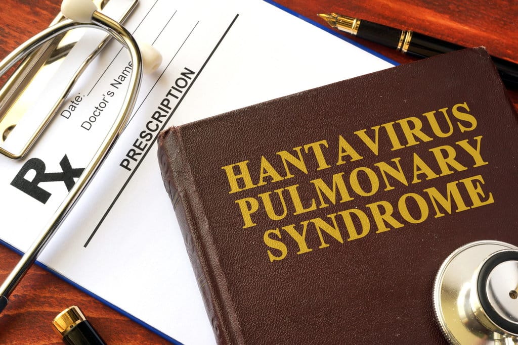 Update Hantavirus di Kapal Pesiar & Jumlah yang Terinfeksi