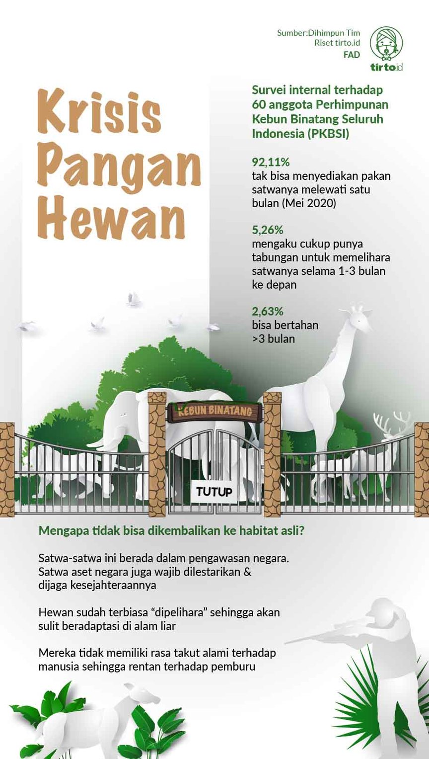 Infografik Krisis Pangan Hewan