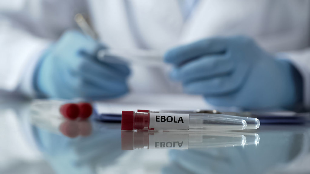Ilustrasi Virus Ebola