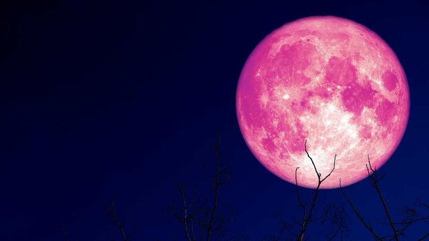 Bagaimana Cara Melihat Strawberry Moon Atau Bulan Purnama Stroberi Tirto Id