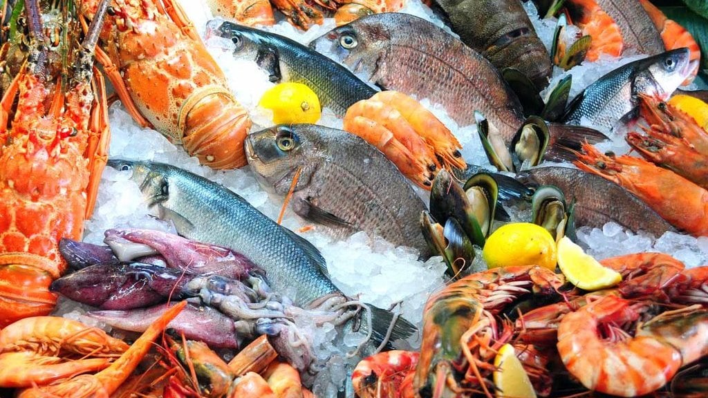 Ilustrasi Seafood