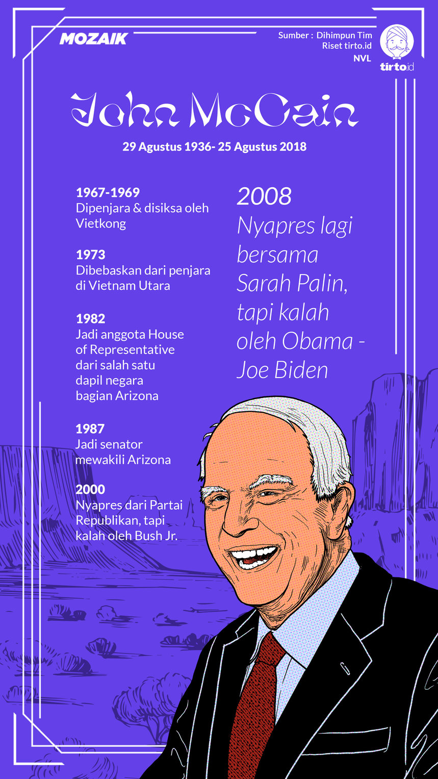 Infografik Mozaik John McCain