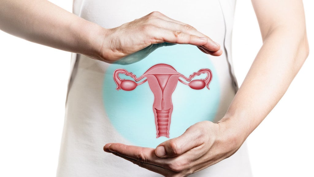Lapisan yang membatasi rongga rahim dan meluruh saat menstruasi dinamakan