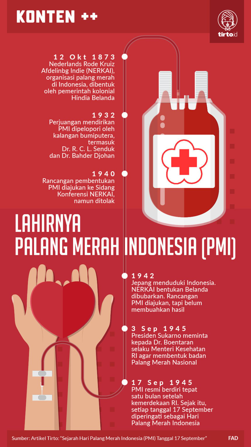 Infografik Lahirnya Palang Merah Indonesia