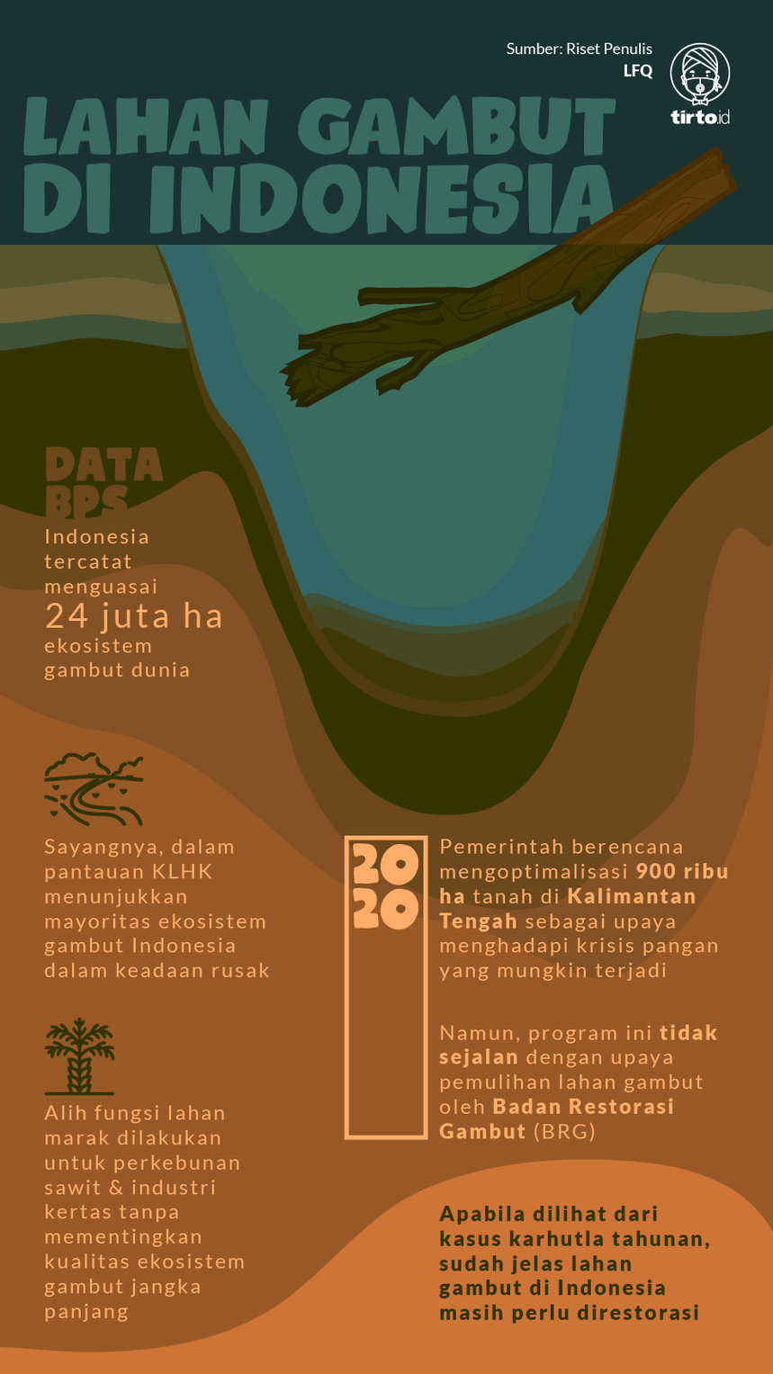 Infografik Lahan Gambut di Indonesia