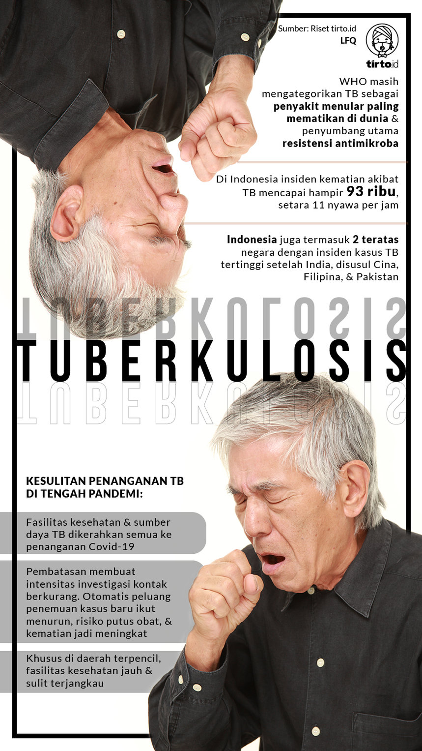 Infografik Tuberkulosis