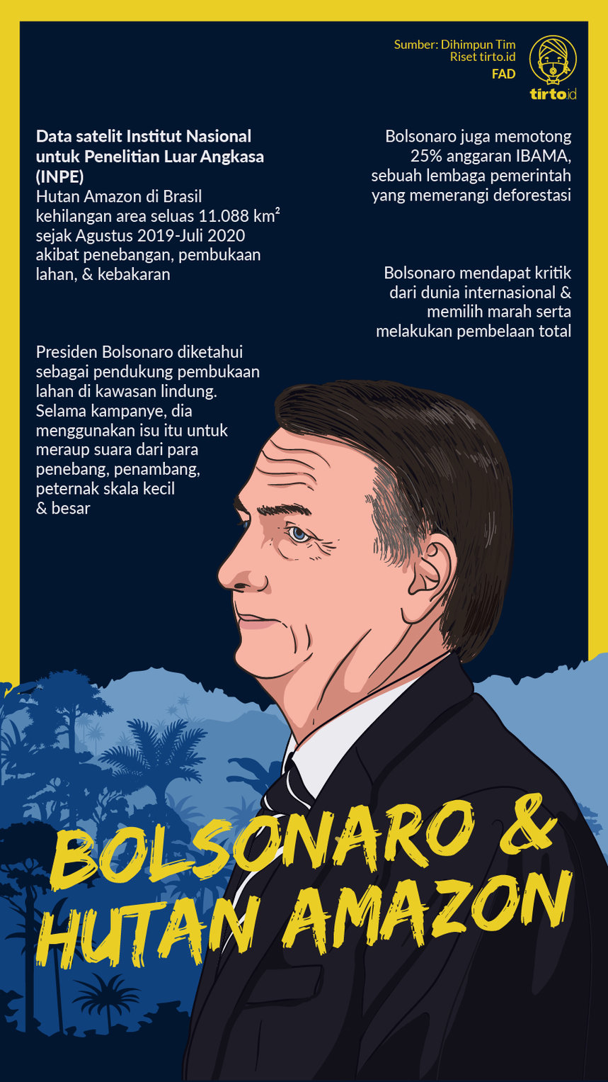 Infografik Bolsonaro dan Hutan Amazon