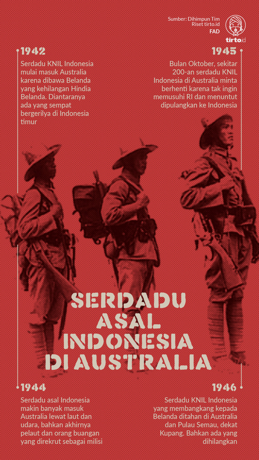 Infografik Serdadu Asal Indonesia di Australia