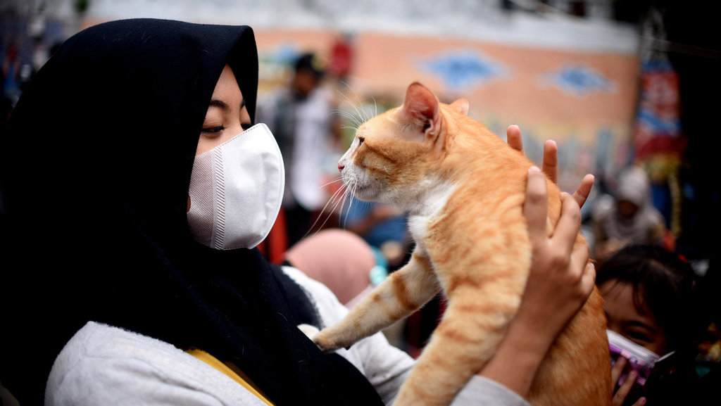 Warga membawa kucing miliknya untuk diperiksa kesehatannya di Kawasan Tebet, Jakarta, Senin (22/2/2021). tirto.id/Andrey Gromico Pemeriksaan Hewan Terdampak Banjir