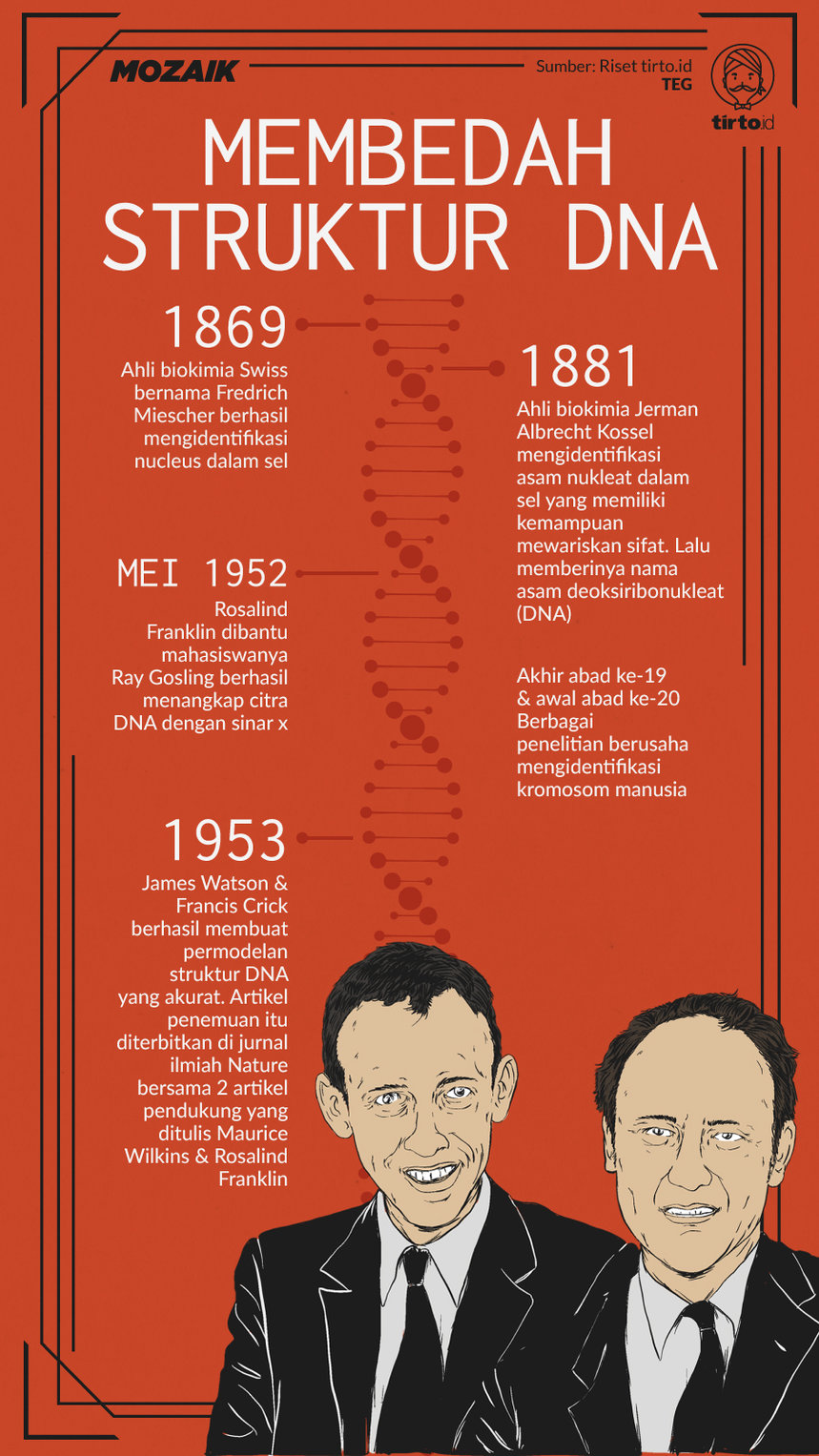 Infografik Mozaik Membedah Struktur DNA