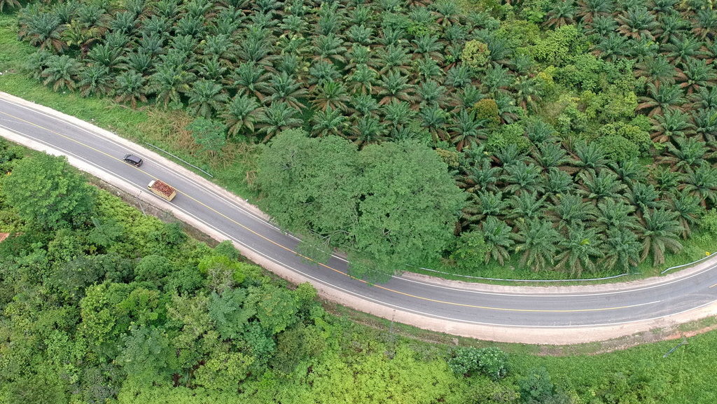 Kendaraan melintas di Jalan Lintas Timur Sumatera, Sekernan, Muarojambi, Jambi, Sabtu (8/5/2021). ANTARA FOTO/Wahdi Septiawan/rwa. JALINSUM JAMBI-RIAU SEPI
