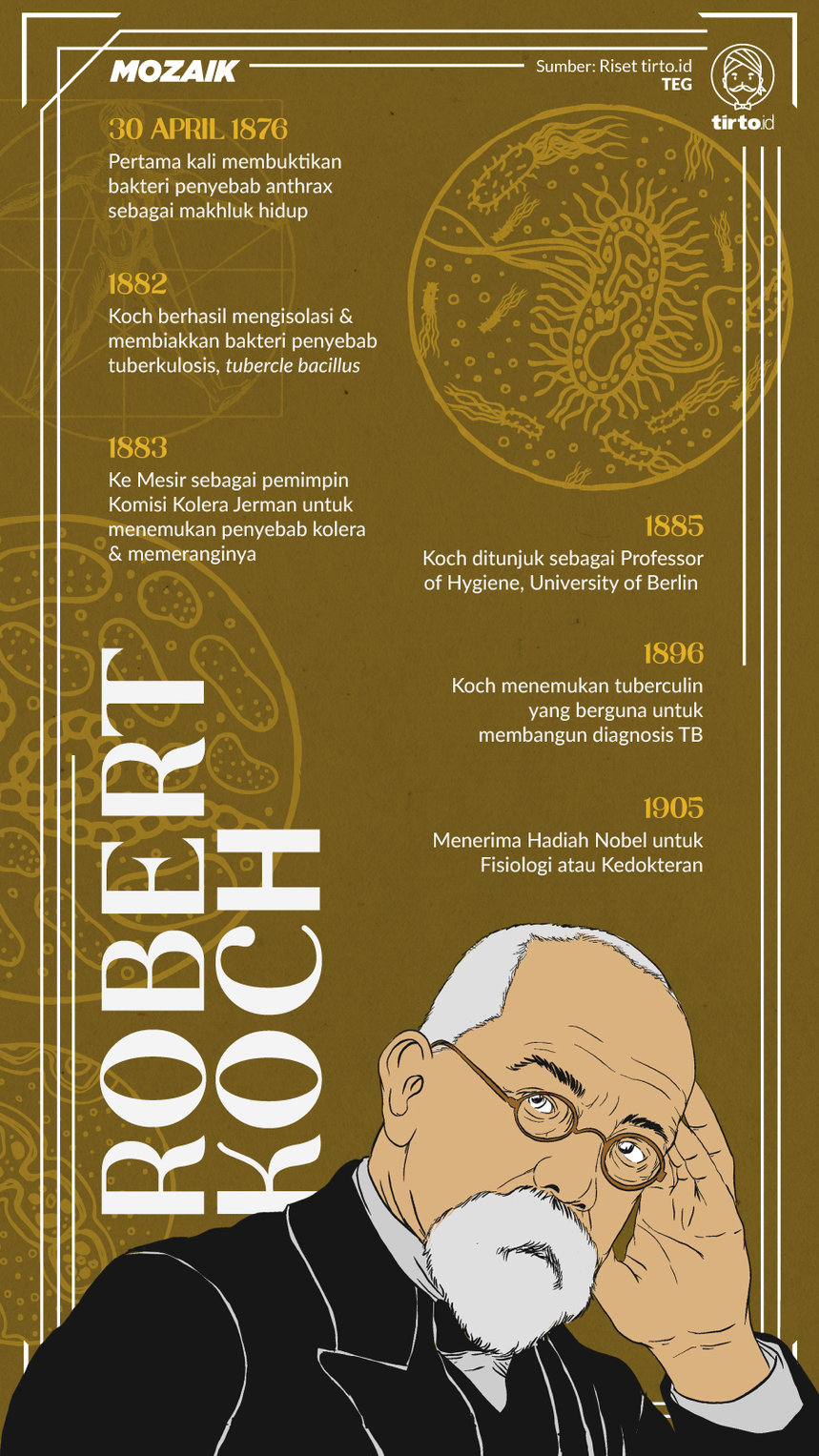 Infografik Mozaik Robert Koch