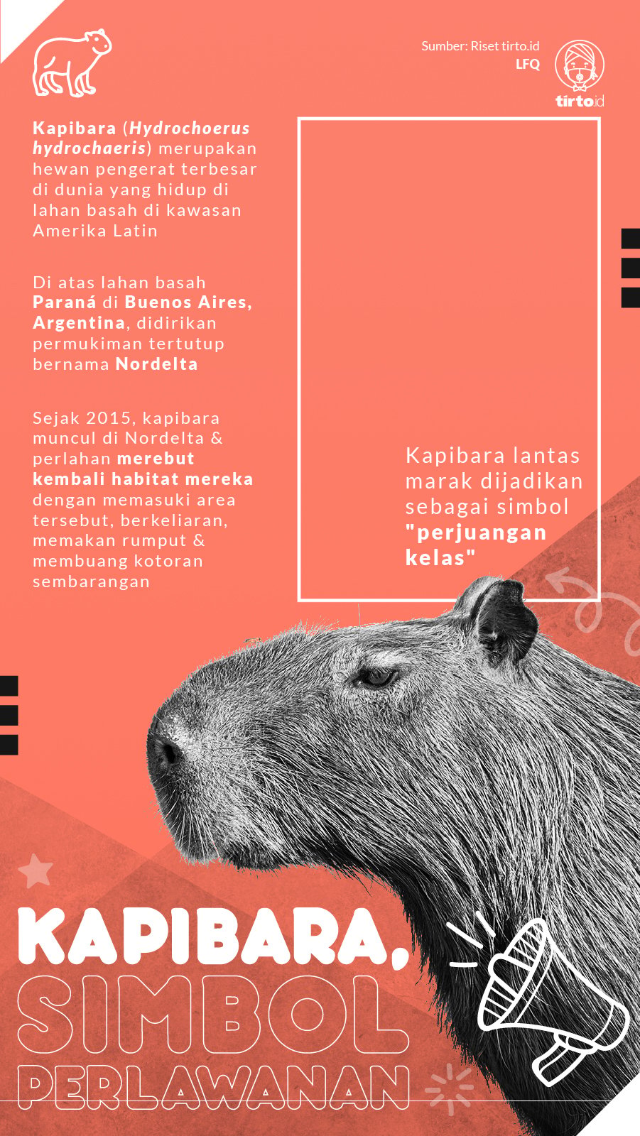 Infografik Kapibara