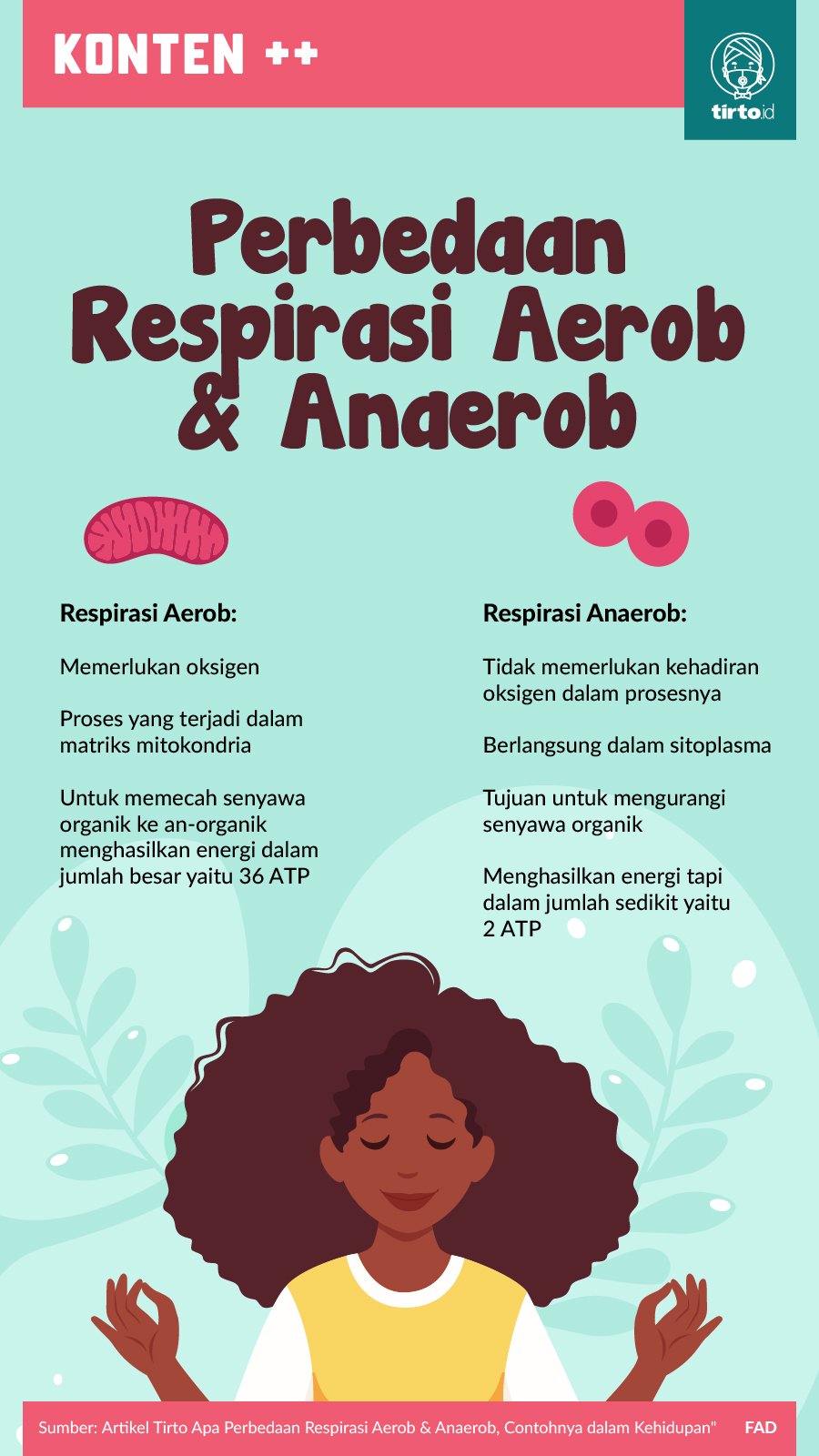 Infografik SC Perbedaan Respirasi Aerob dan Anaerob