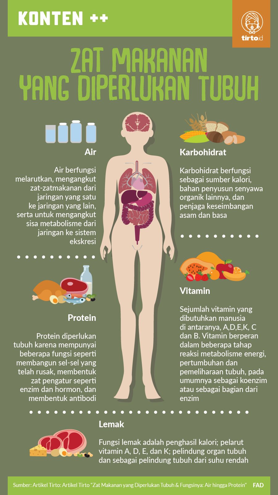 Infografik SC Zat Makanan yang Diperlukan Tubuh