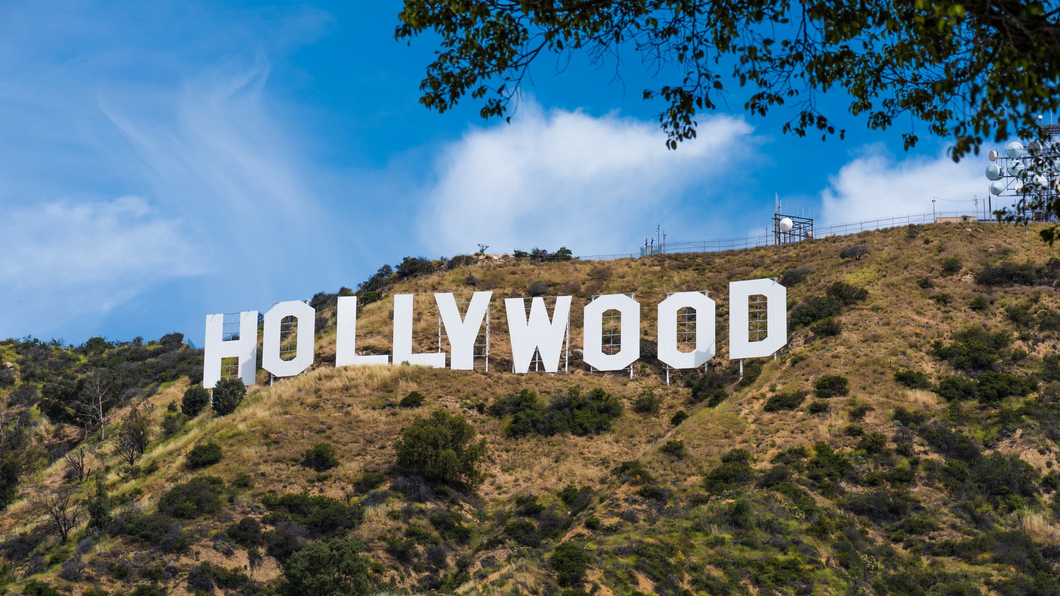 Ilustrasi Hollywood. FOTO/istockphoto Ilustrasi Hollywood