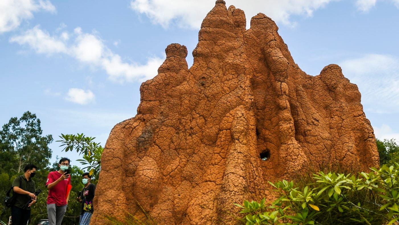 TAMAN NASIONAL WASUR DI MERAUKE