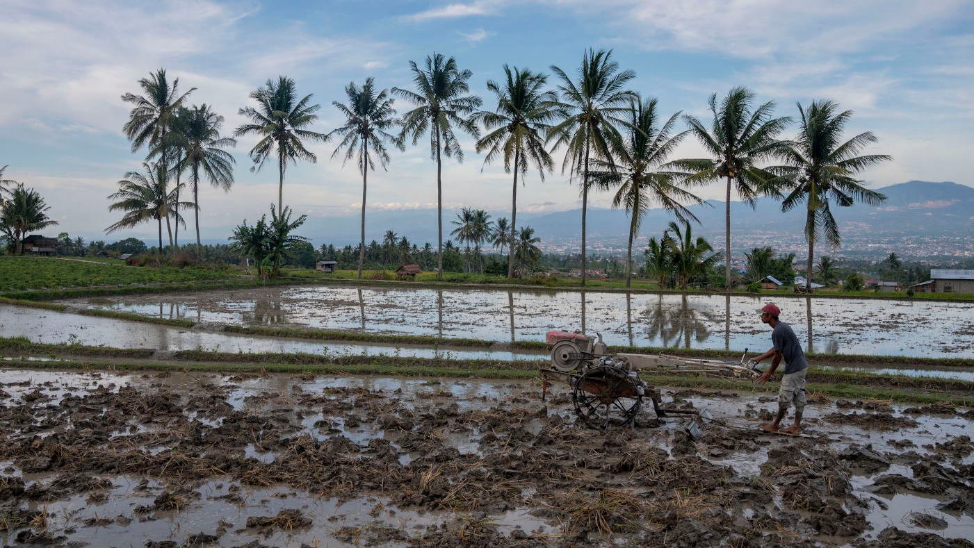 WASPADA DAMPAK LA NINA SEKTOR PERTANIAN