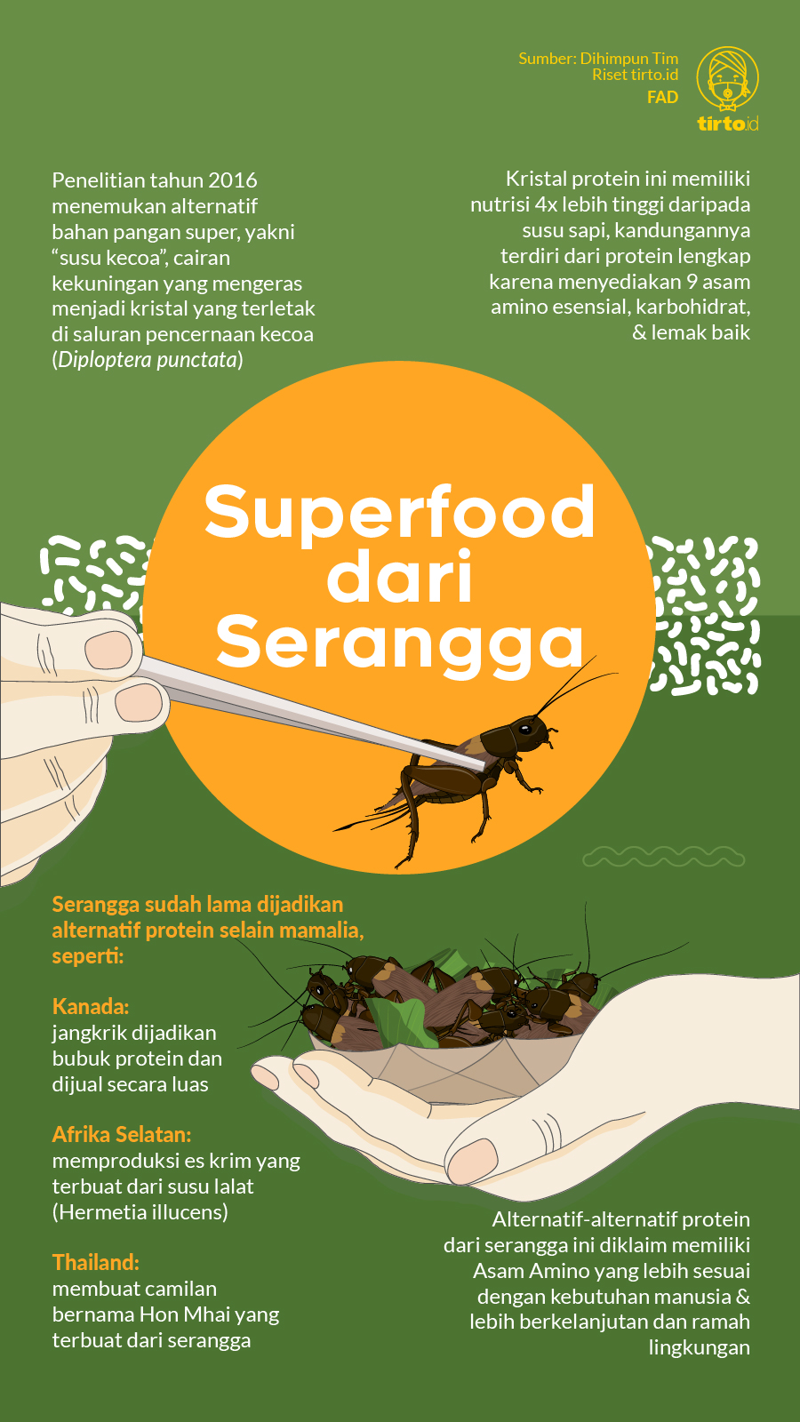 infografik mild superfood dari serangga. 