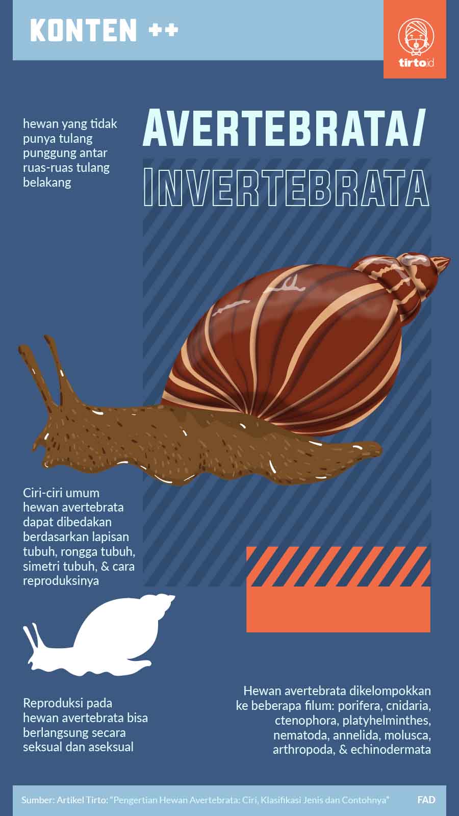 Infografik SC Avertebrata Invertebrata