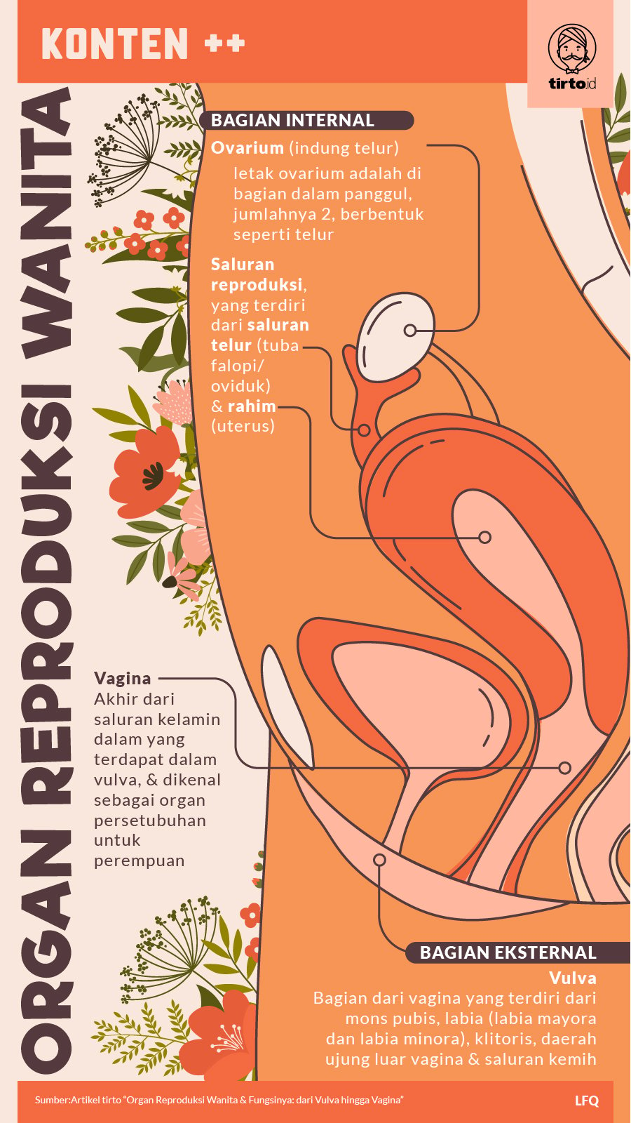 Infografik SC Organ Reproduksi Wanita