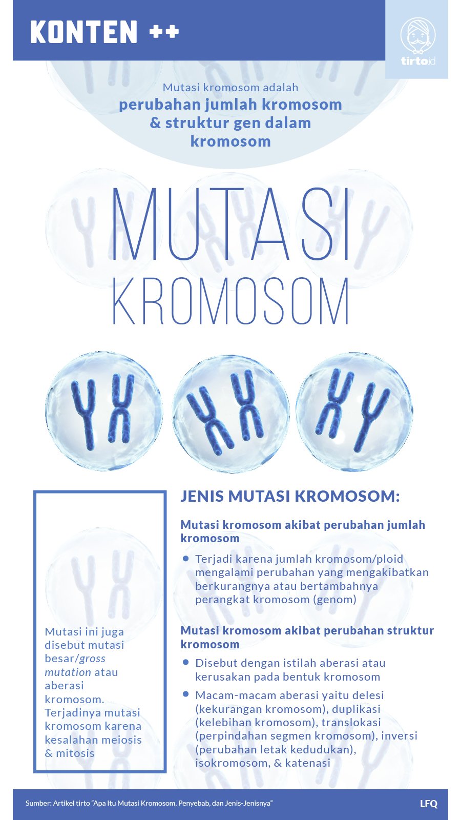 Infografik SC Mutasi Kromosom