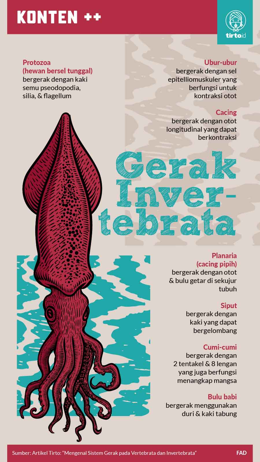 Infografik SC Gerak Invertebrata