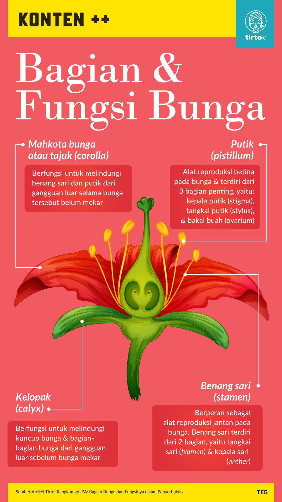 Infografik SC Bagian dan Fungsi Bunga