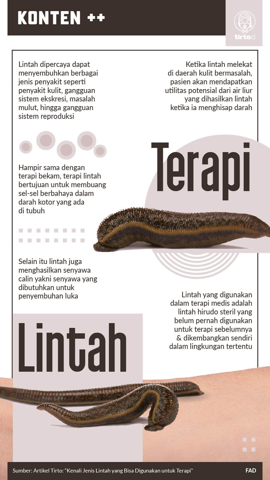 Infografik SC Terapi Lintah