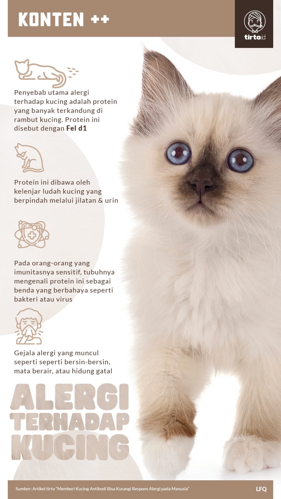 Infografik SC Alergi pada Kucing