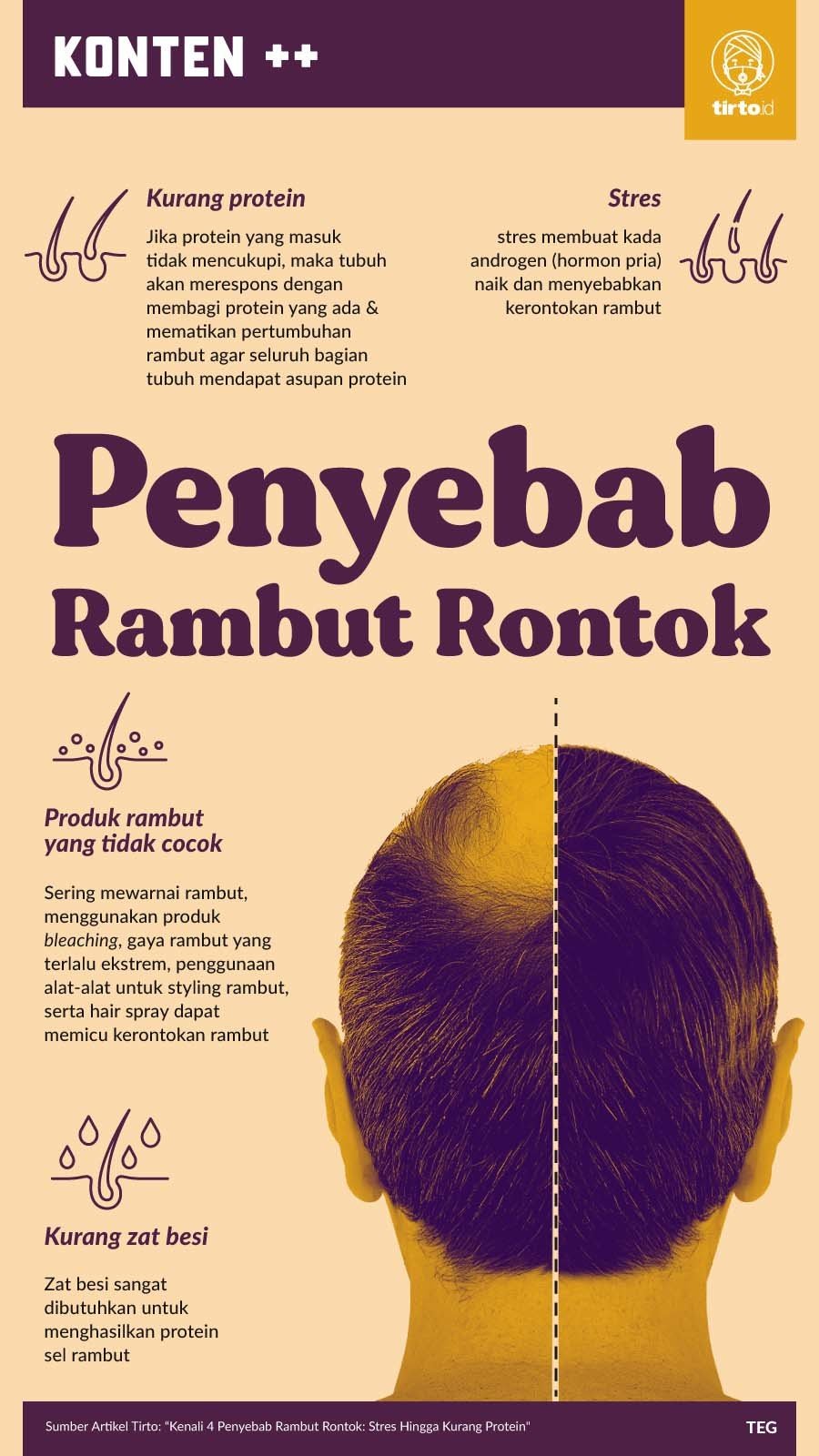 Infografik SC Penyebab Rambut Rontok