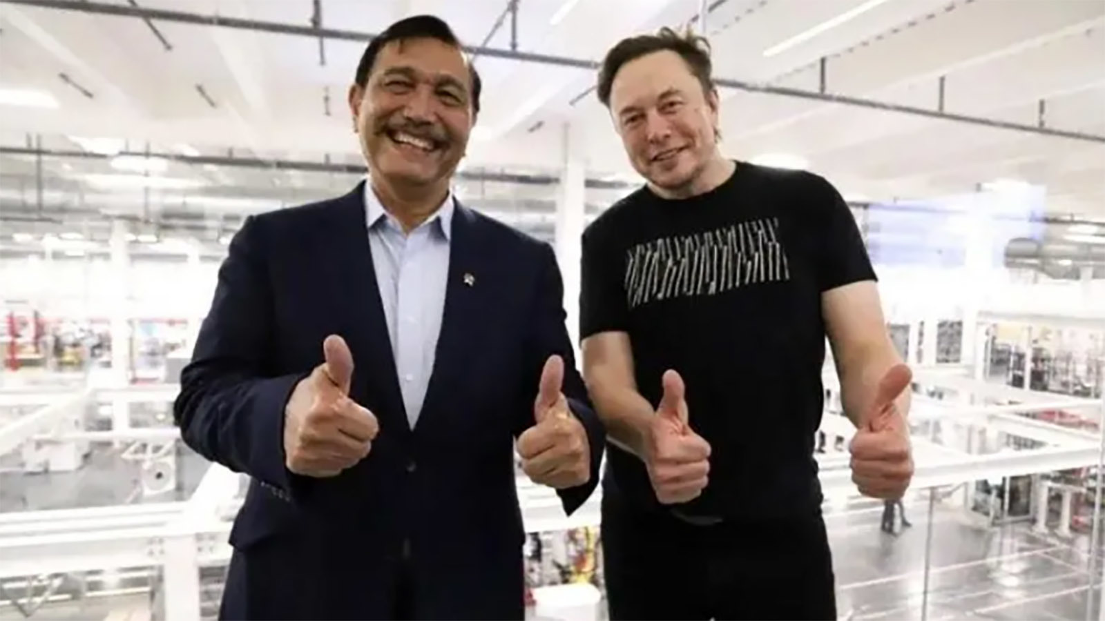 Luhut Elon Musk