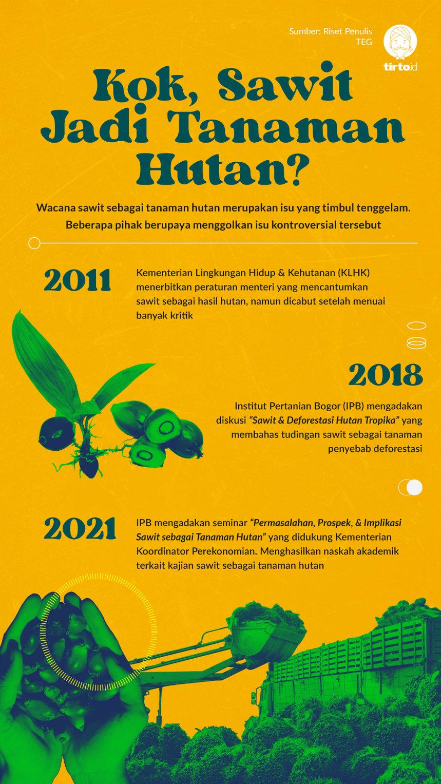 Infografik HL Indept Hutan Sawit