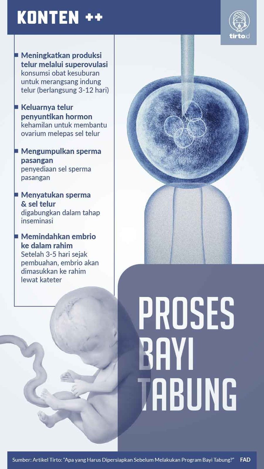 Infografik Proses Bayi Tabung