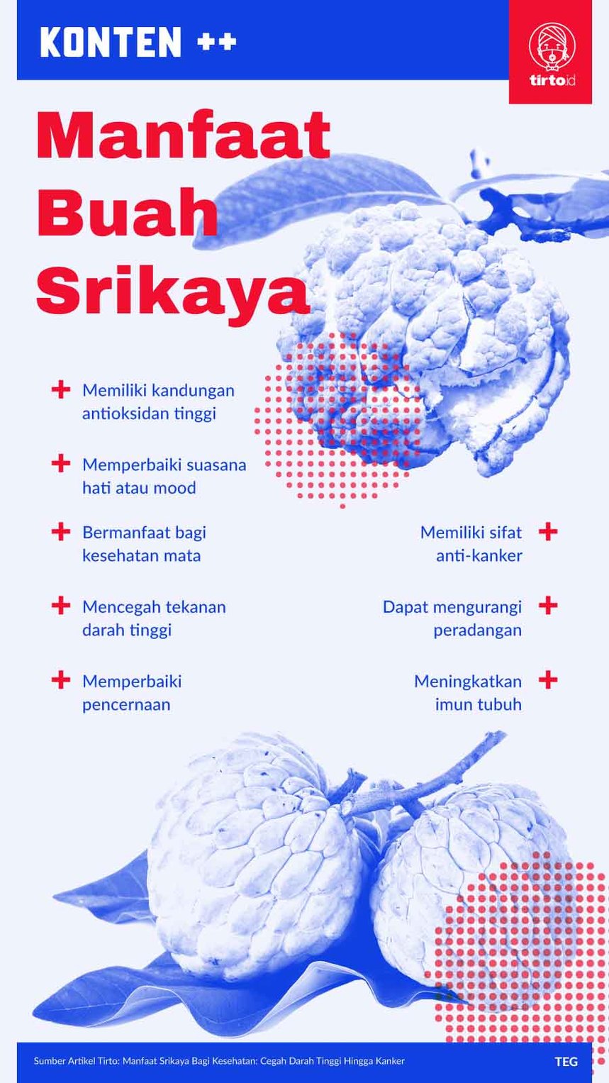 Infografik SC Manfaat Srikaya